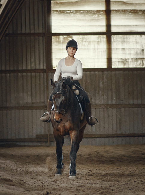 equine-sport-medicine-Sec5